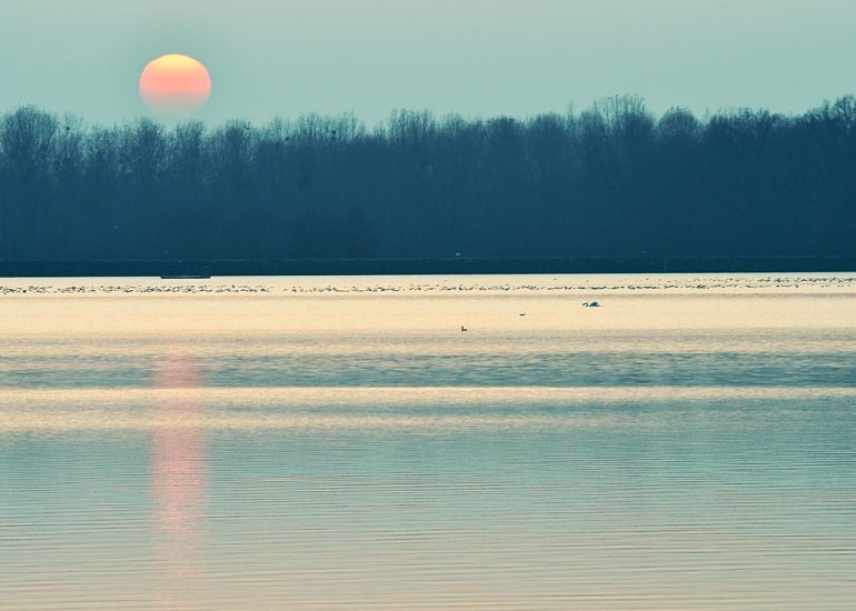 Vue paisible d’un lac calme sous une lumière douce avec soleil pâle, reflet rosé et ligne d’arbres sombres à l’horizon. Image idéale pour illustrer la sérénité, la nature, les températures de couleur froides et les paysages atmosphériques.